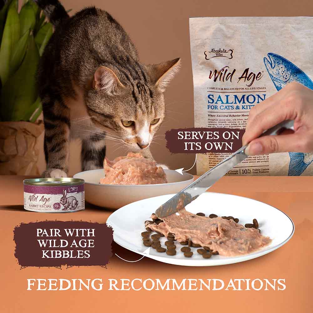 Absolute Bites Wild Age Chicken Complete & Balanced Diet Canned Cat Food 80g - Box of 6