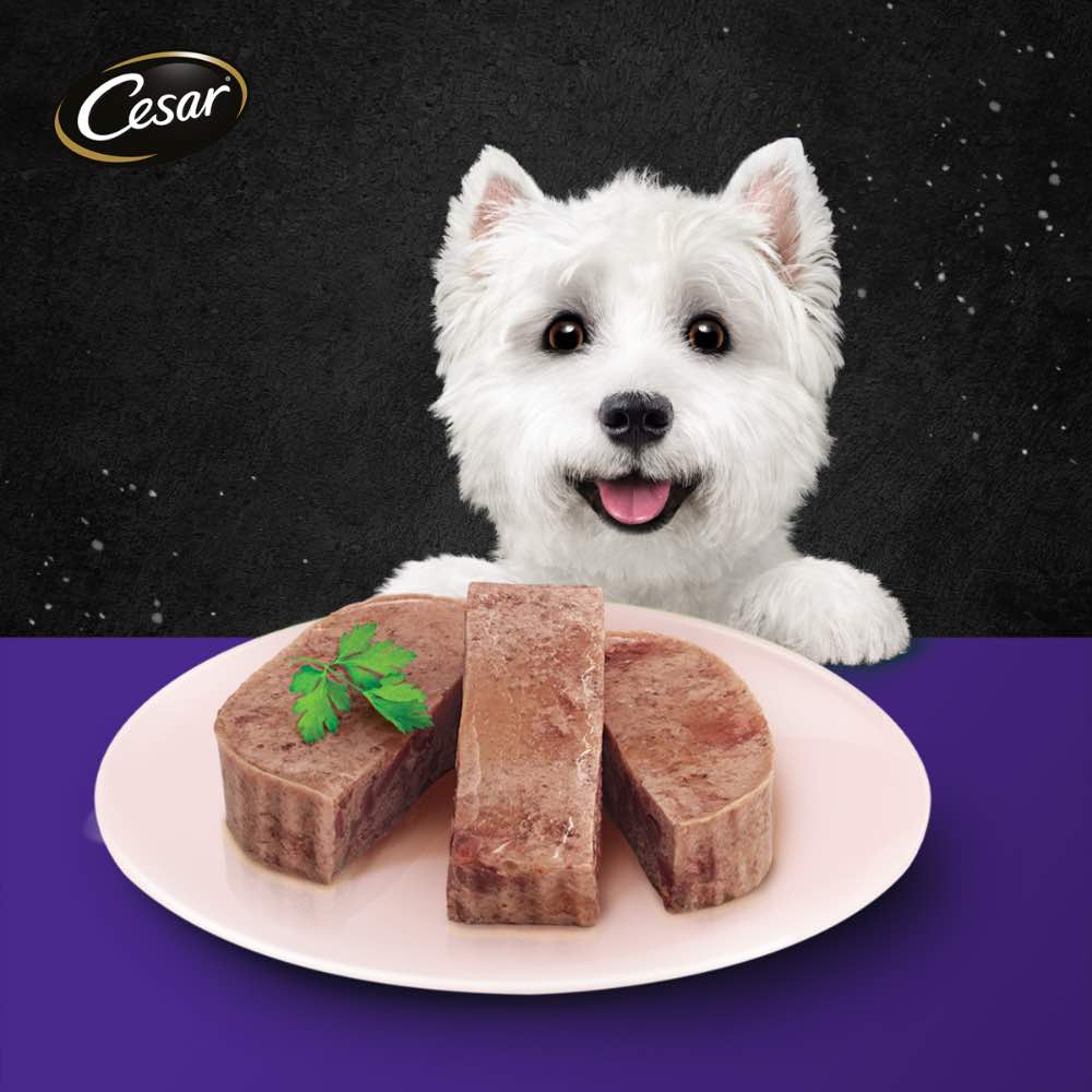 Cesar Chicken & Cheese Pate Tray Dog Food 100g