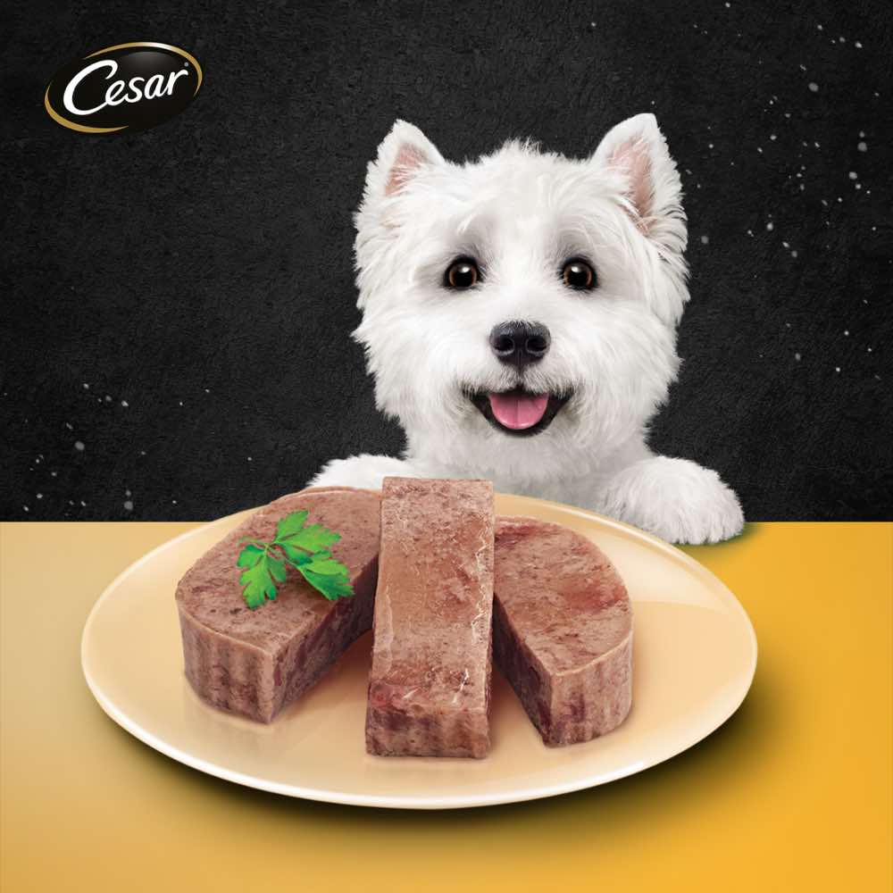 Cesar Chicken Pate Tray Dog Food 100g