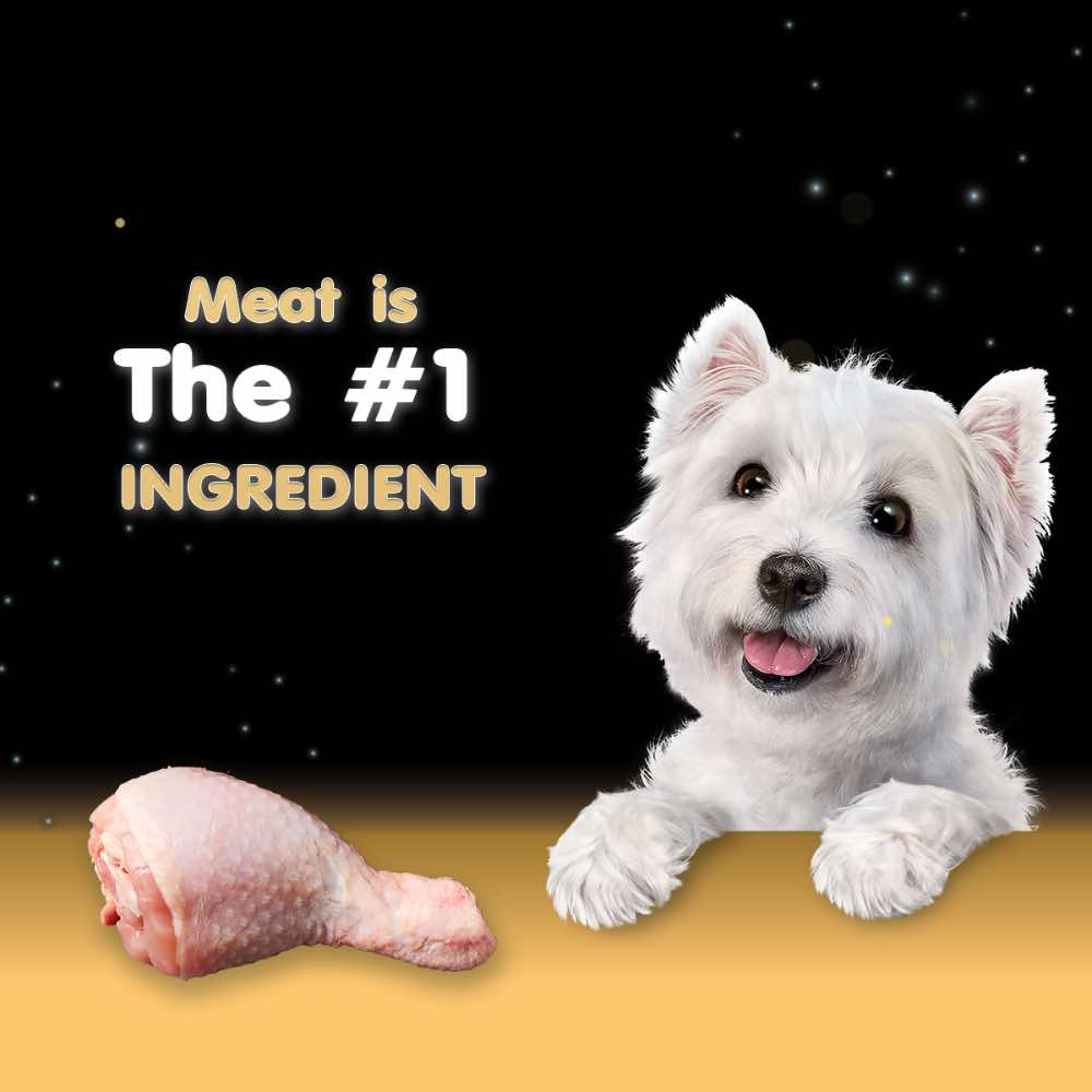 Cesar Chicken Pate Tray Dog Food 100g