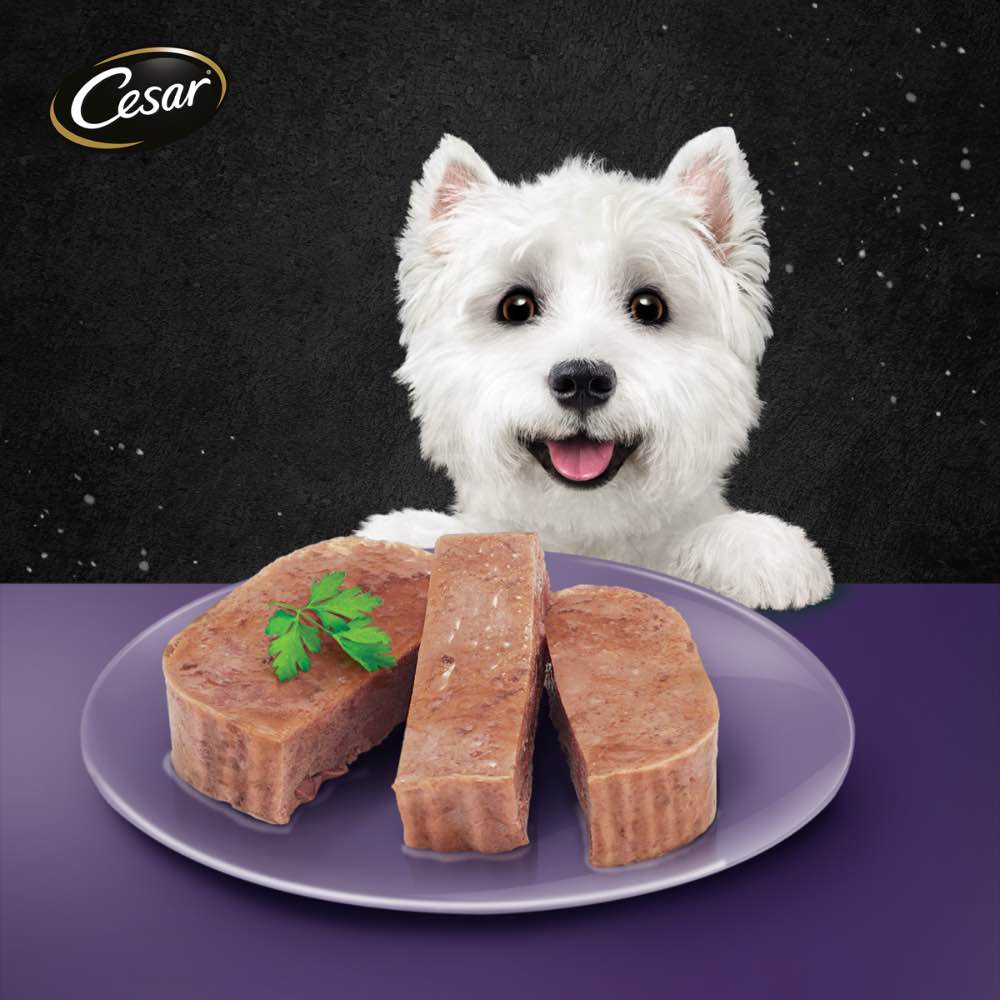 Cesar Lamb Pate Tray Dog Food 100g