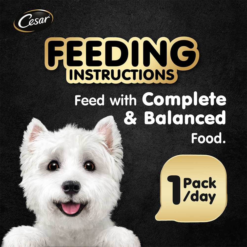 Cesar Chicken & Vegetables Pate Tray Dog Food 100g