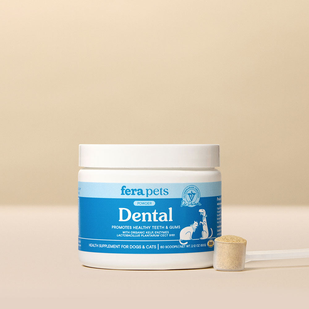 Fera Pets Dental Support Supplement Powder For Cats & Dogs 60g