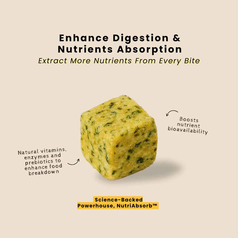 frashfresh Cooked Beef NutriAbsorb Frozen Dog Food 2.25kg