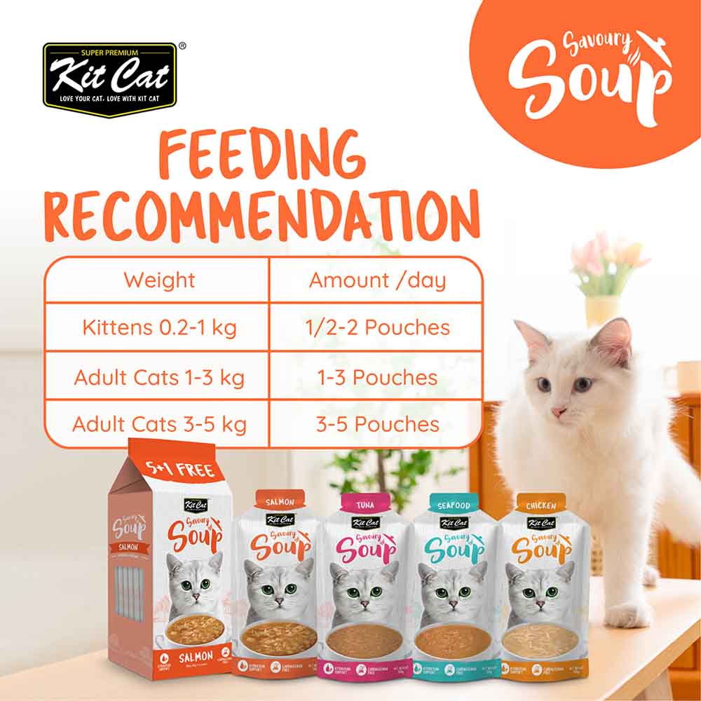 Kit Cat Savoury Soup Salmon Wet Pouch Cat Food (50g x 6)
