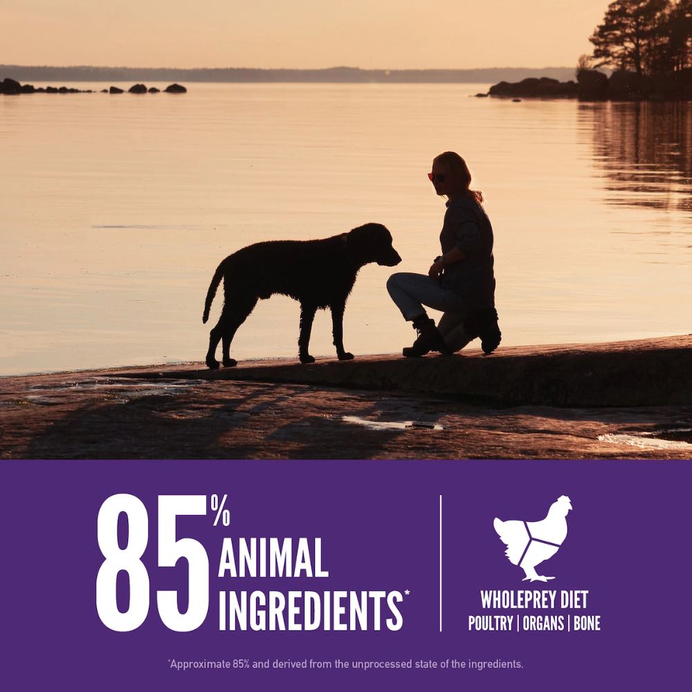 ORIJEN Adult Large Breed Grain-Free Dry Dog Food 11.4kg