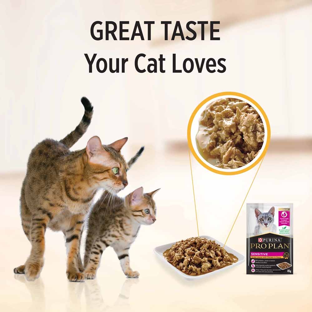 Pro Plan Sensitive Tender Chicken In Gravy Adult Pouch Cat Food 85g x 12