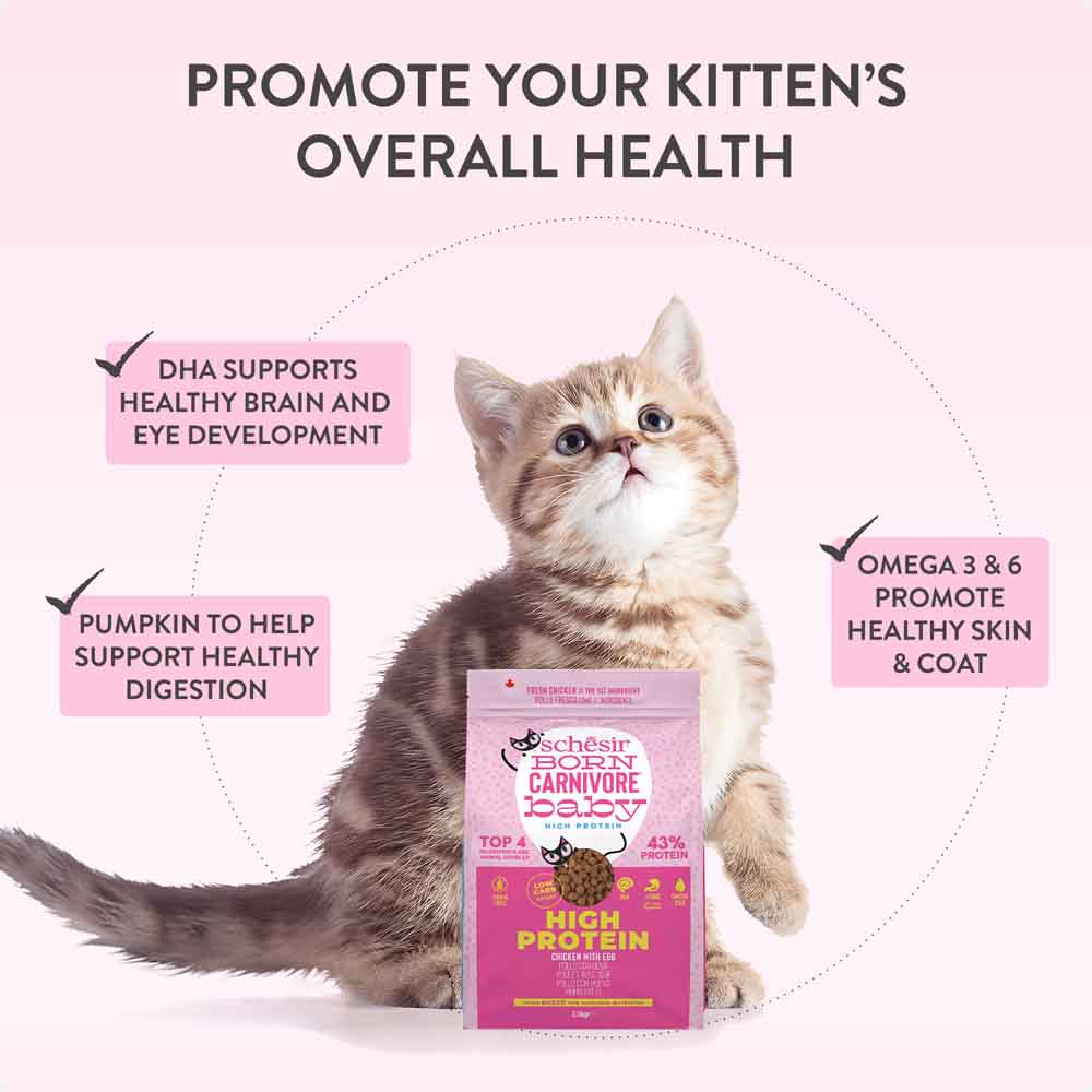 33% OFF: Schesir Born Carnivore Chicken with Egg Oven Baked Dry KITTEN Food