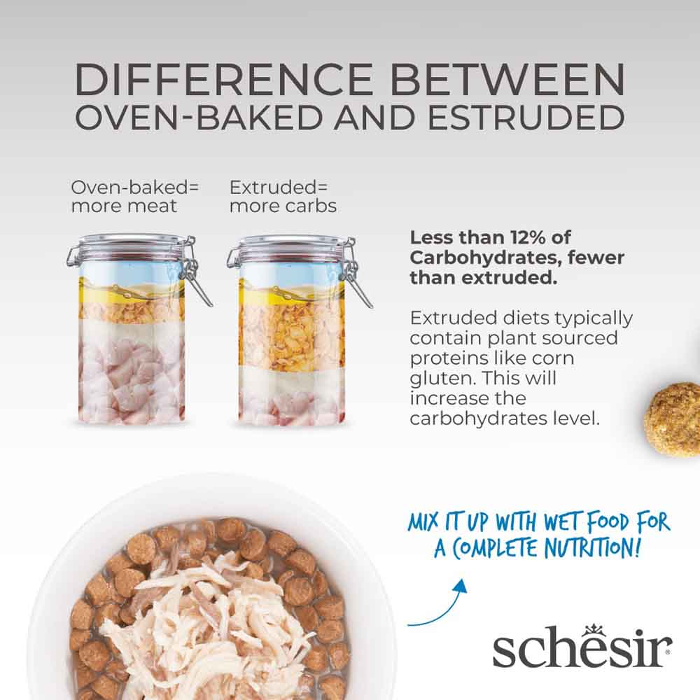 33% OFF: Schesir Born Carnivore Chicken with Egg Oven Baked Dry Cat Food