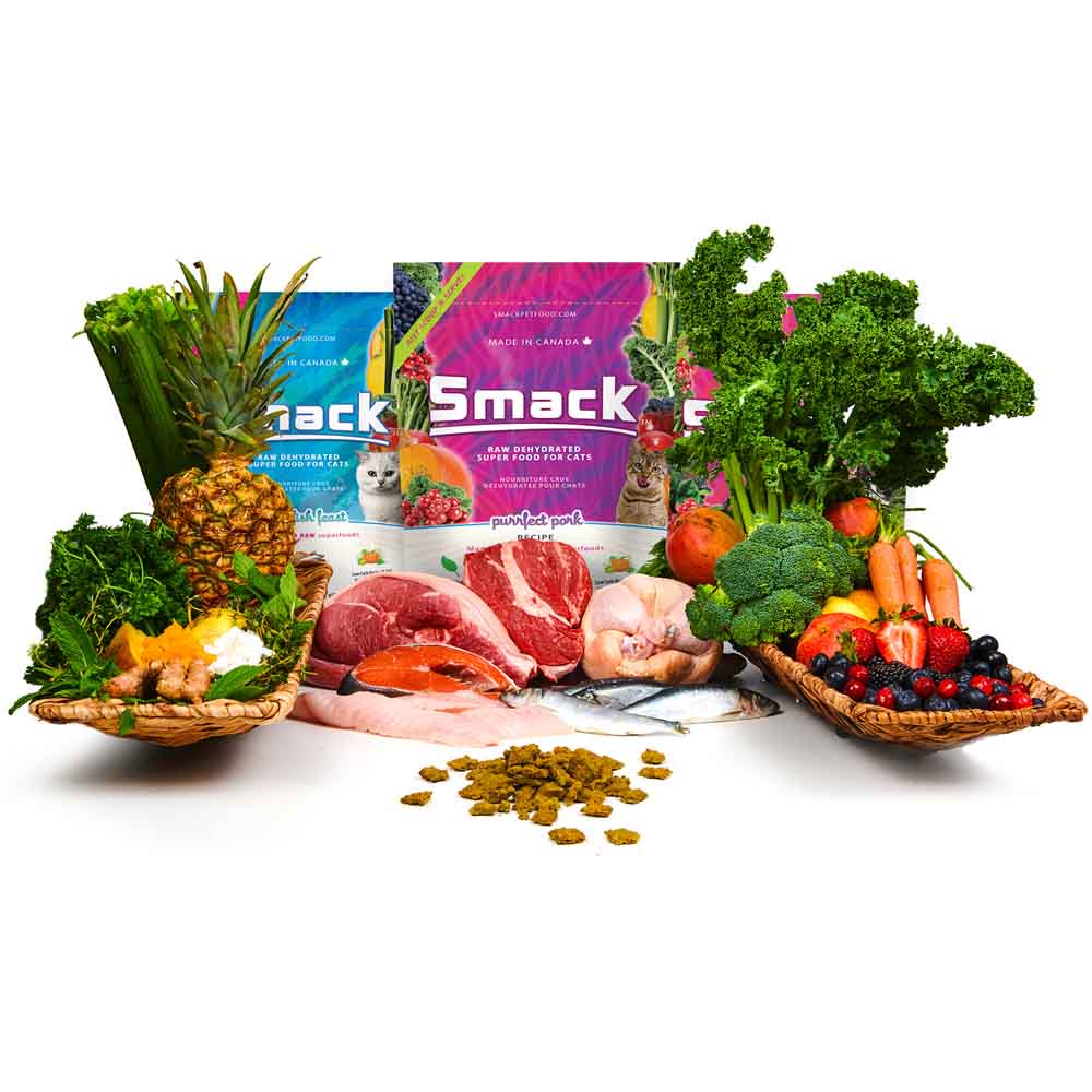 Smack Pacific Fish Feast Raw Dehydrated Cat Food