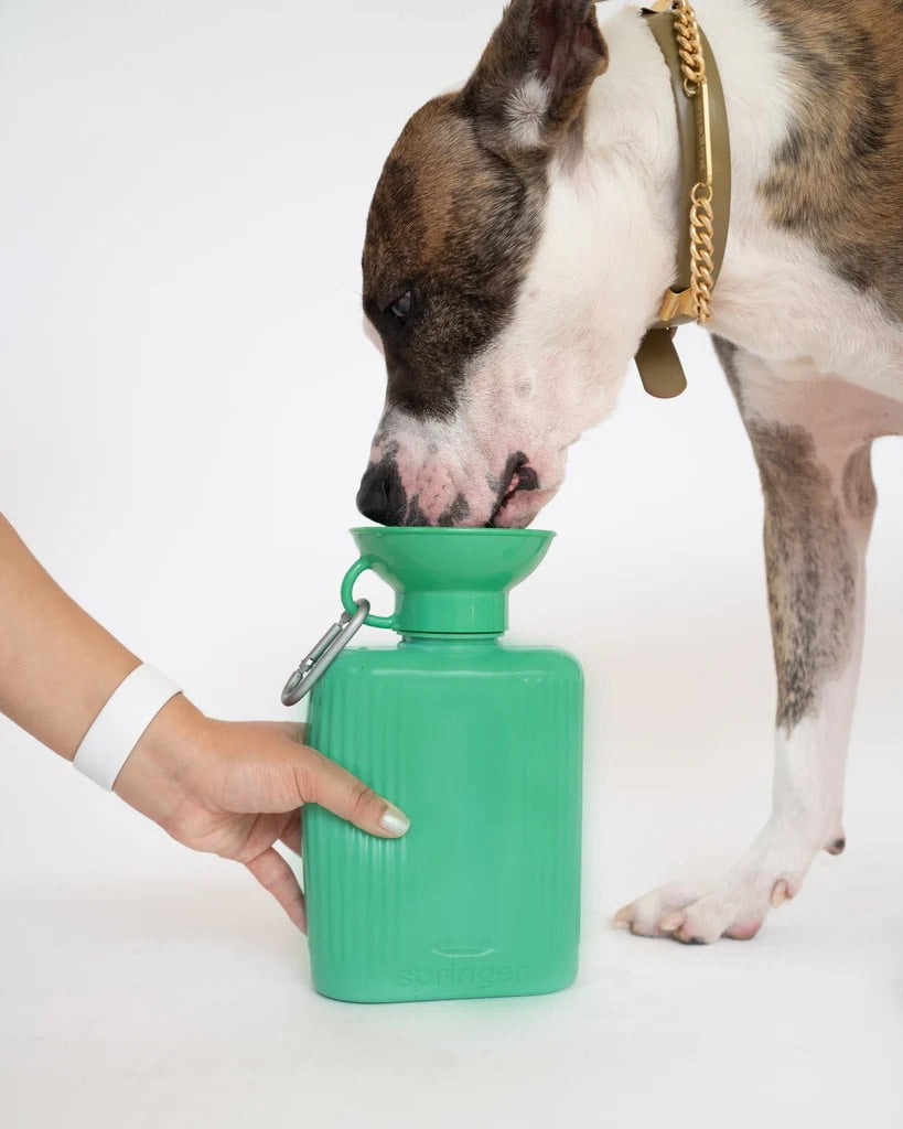 Springer Growler Dog Travel Water Bottle (Grey)