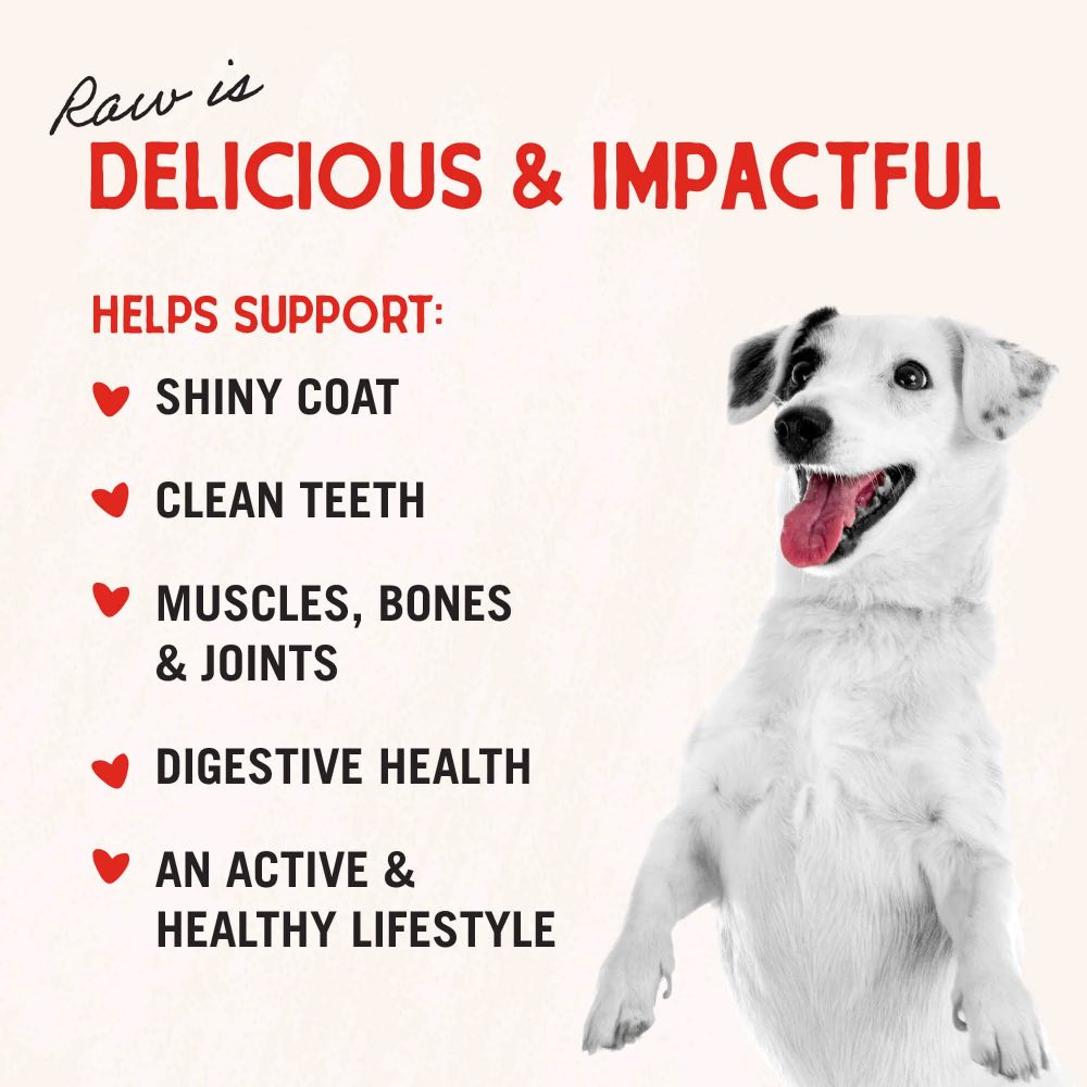 Stella & Chewy??s Meal Mixers Purely Pork Freeze-Dried Dog Food 18oz