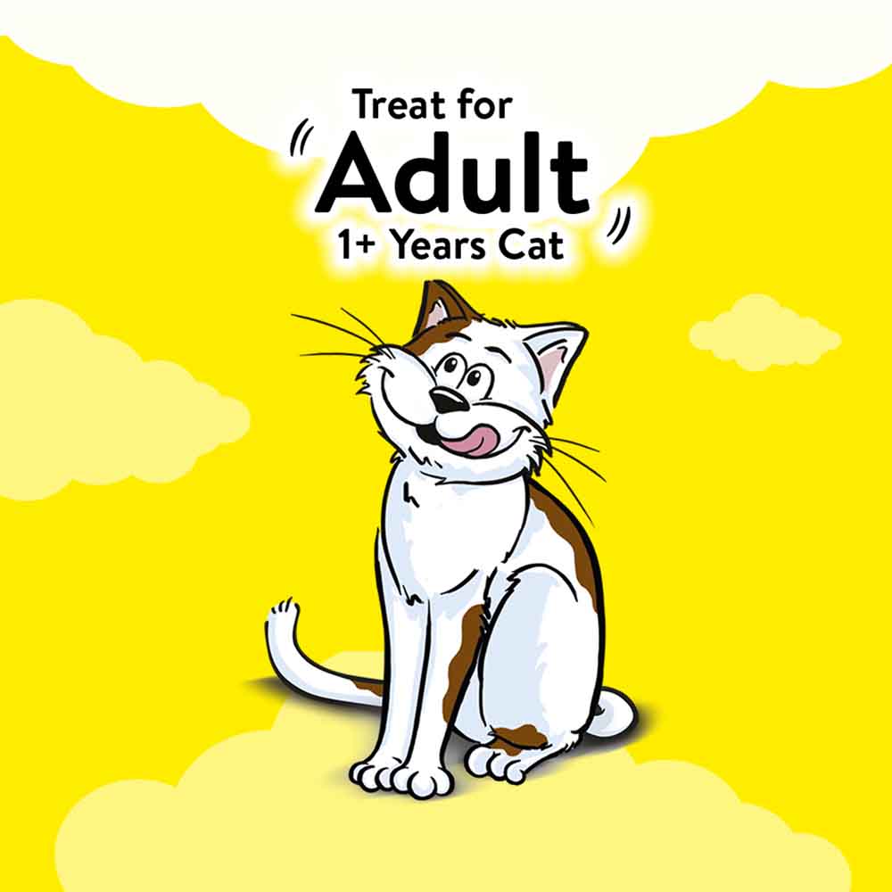 Temptations Seafood Medley Cat Treats 75g